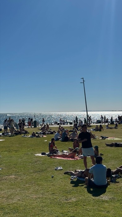 Crowds sunbathing on beachside lawn, Australian summer homecoming