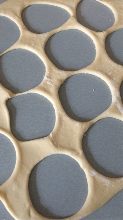 Rolled dough with circles cut out, homemade pierogi or buns