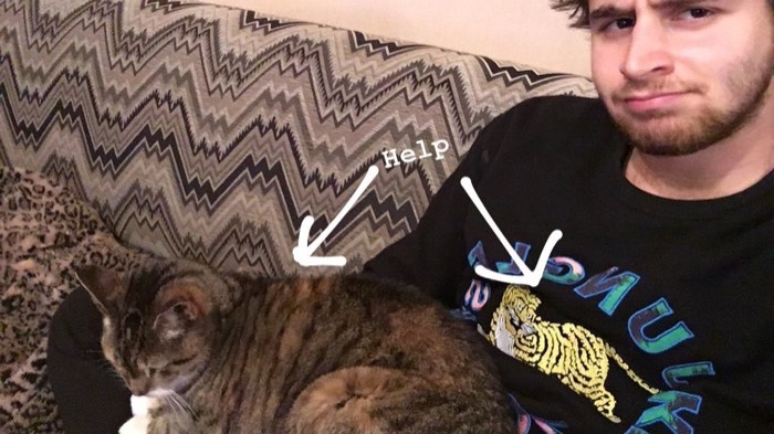 Joshua: selfie pinned under tabby cat on his chest, arrows pointing at it