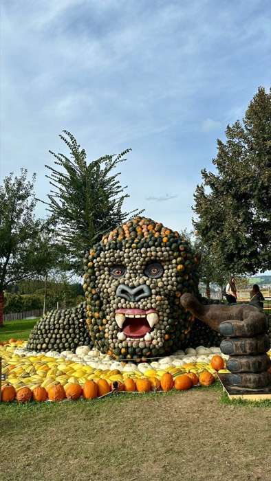 Giant King Kong sculpture built from pumpkins at pumpkin festival