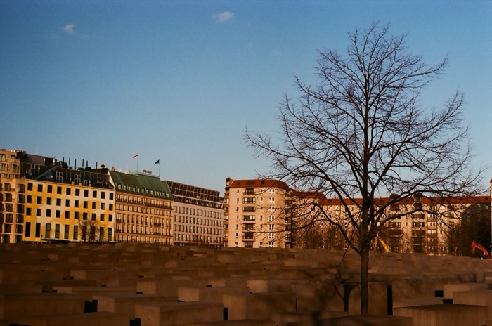 Holocaust Memorial concrete stelae before Berlin buildings, bare tree.