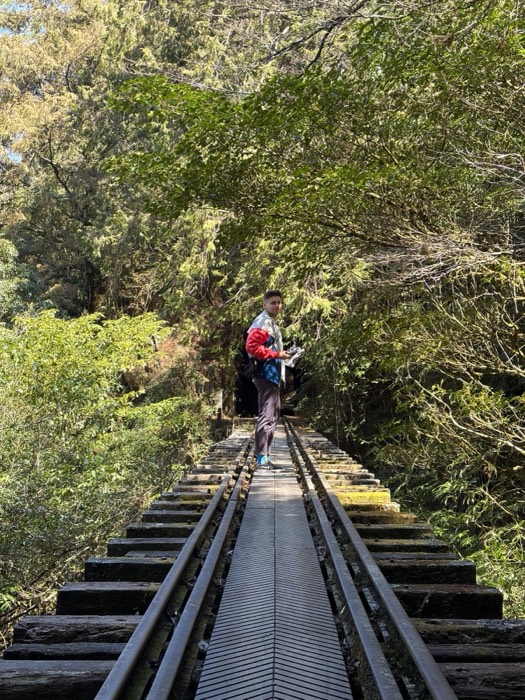 Hiker in colorful jacket standing on abandoned forest railway plank trestle