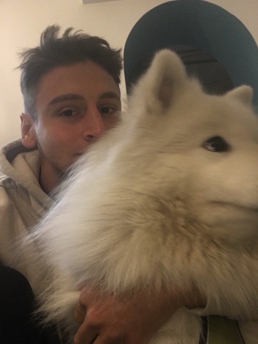 Joshua: cuddling a fluffy white Samoyed dog