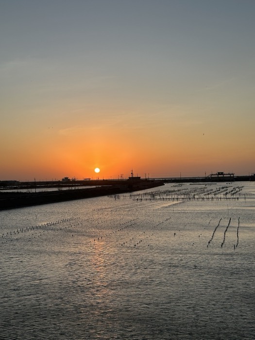 Sunset over aquaculture flats with stake rows reflecting orange sky