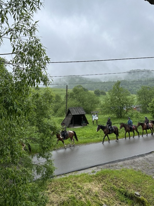 Horseback riders trekking along wet rural road, misty green hills