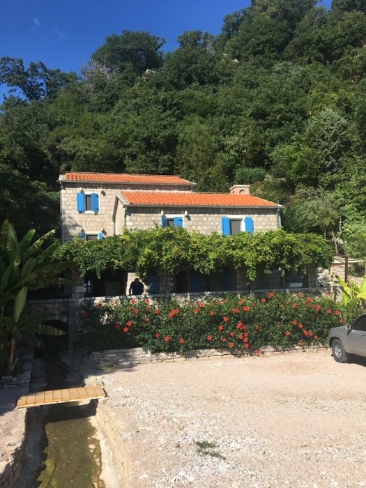 Stone house with blue shutters and flowers, Montenegro hillside