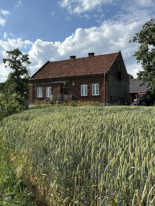 Antisemitic graffiti spray-painted on a rural barn wall