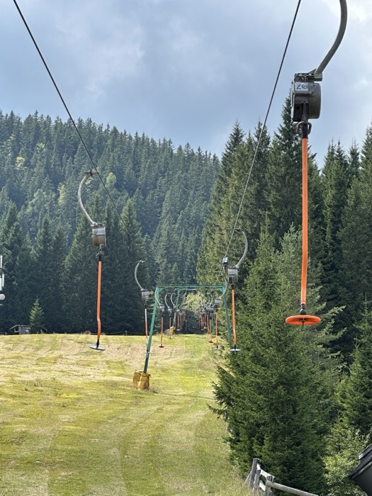 Old orange platter ski lift over grassy alpine slope and pines