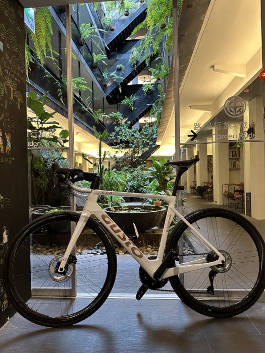 Joshua's white Cusco road bike posed in lush plant-filled cafe atrium