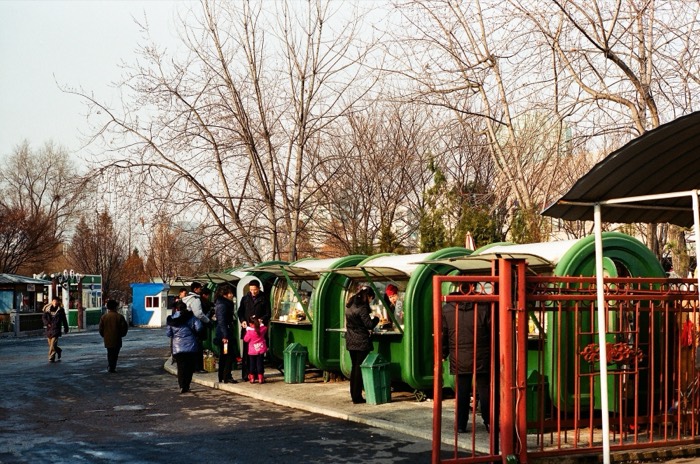 Green capsule kiosks and visitors among bare winter trees