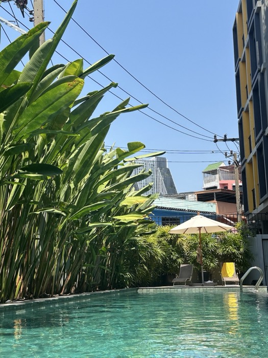 Sunny hotel pool framed by tropical banana plants, parasol and city behind