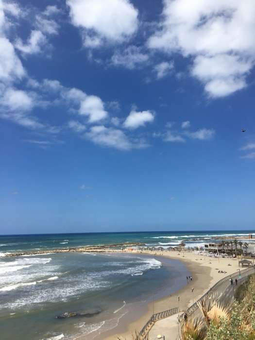 Bright blue-sky Tel Aviv beachfront, breakwaters and curving promenade.