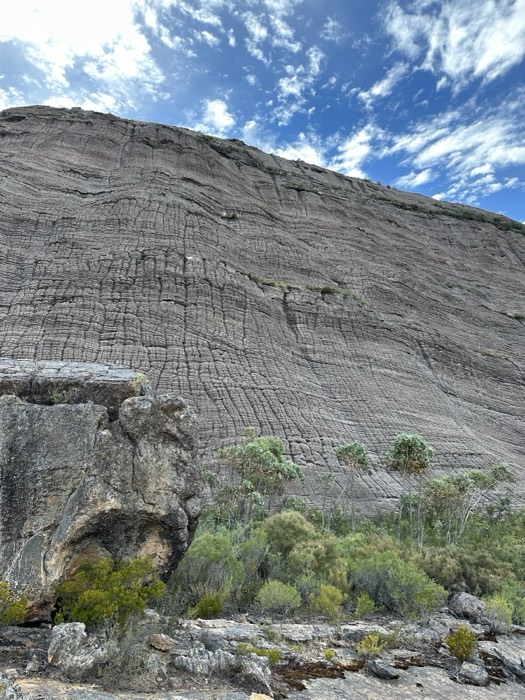 Striated weathered sandstone cliff face above scrub, dramatic geology