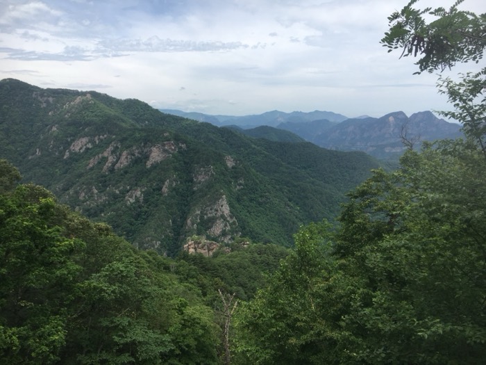 Sweeping forested mountain ridge panorama under cloudy sky, hiking viewpoint