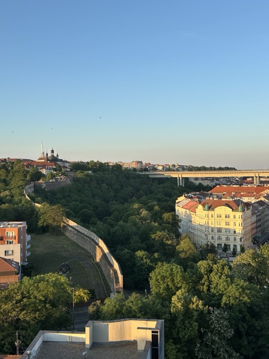 Golden-hour Prague cityscape: Vysehrad walls, river bridge, ornate buildings