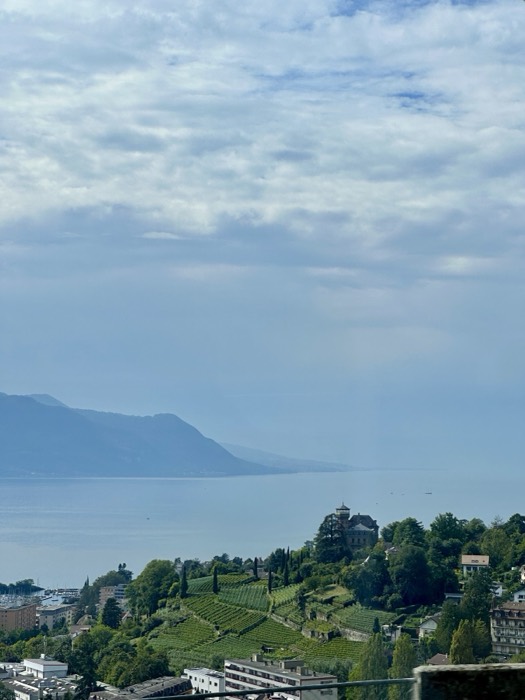 Hazy Lake Geneva panorama with lakeside castle and vineyards