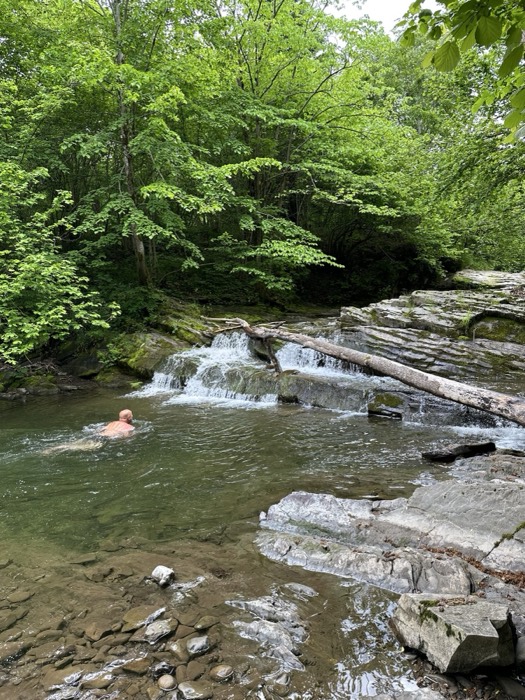 Person swimming below small forest waterfall in green wooded gorge