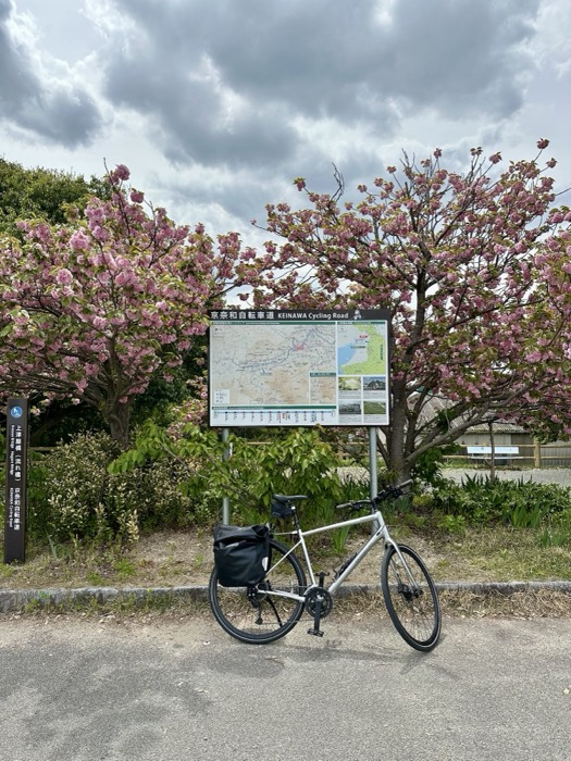 Touring bike at Keinawa cycling road map, double cherry blossoms behind