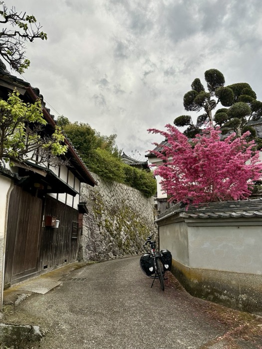 Loaded touring bike in old-town lane, pink blossom and stone wall