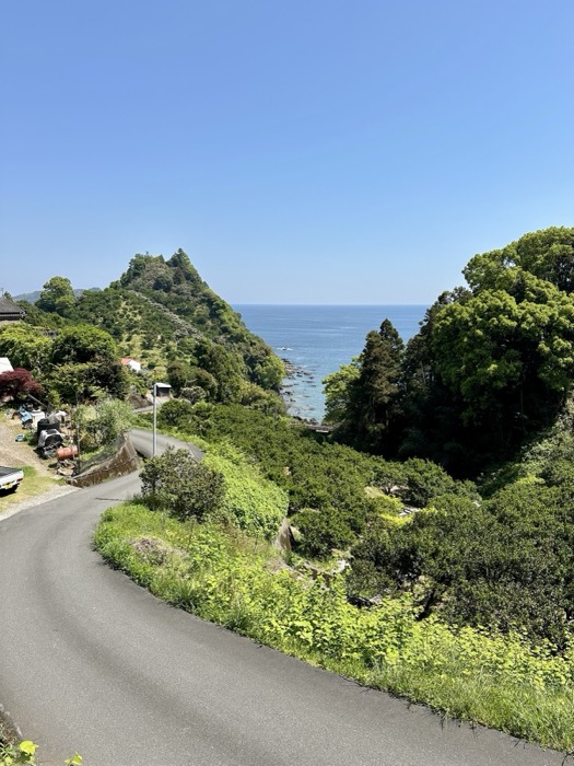 Winding coastal road descending to forested headland and blue Shikoku sea