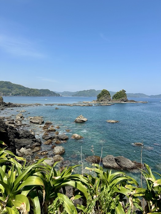 Rocky volcanic coastline with twin tree-topped sea stacks, green foreground.