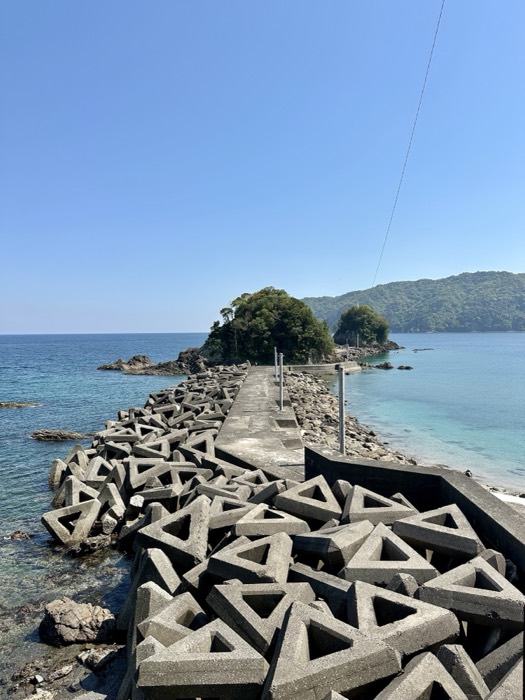 Tetrapod breakwater causeway leading to tiny tree-topped island, turquoise sea.
