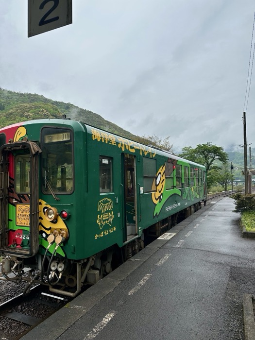 Green tiger-painted Kaiyodo Hobby sightseeing train at platform 2