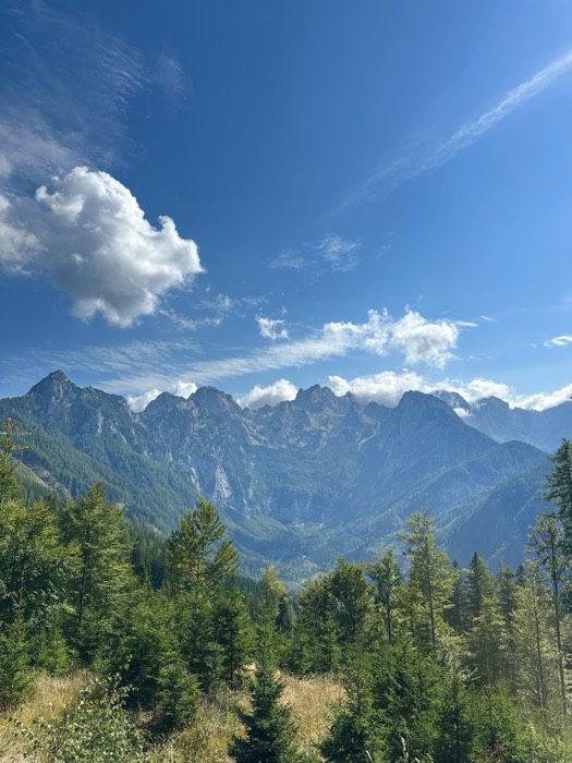 Edited near-duplicate of jagged mountain range over forest