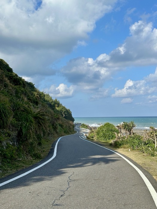 Edited duplicate of winding coastal road descending to sea