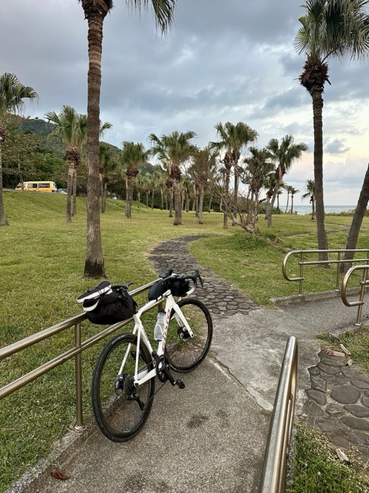 Loaded touring bike parked on path among palm trees by the coast at dusk.