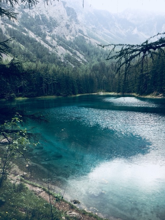 Edited Gruner See lake, cooler tones, framed by pine branches
