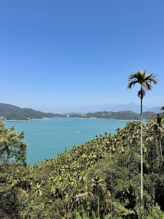 Edited duplicate of turquoise lake panorama with lone palm