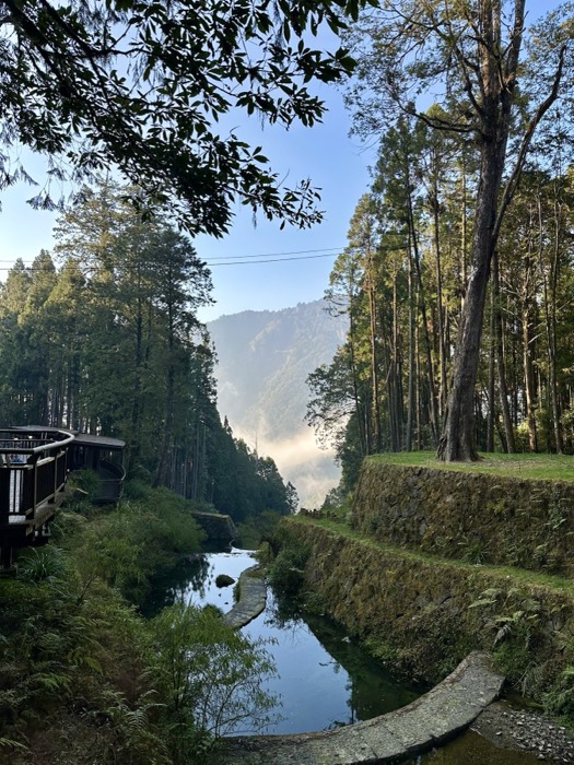 Misty mountain valley with reflective stream and cedar terraces framed by leaves