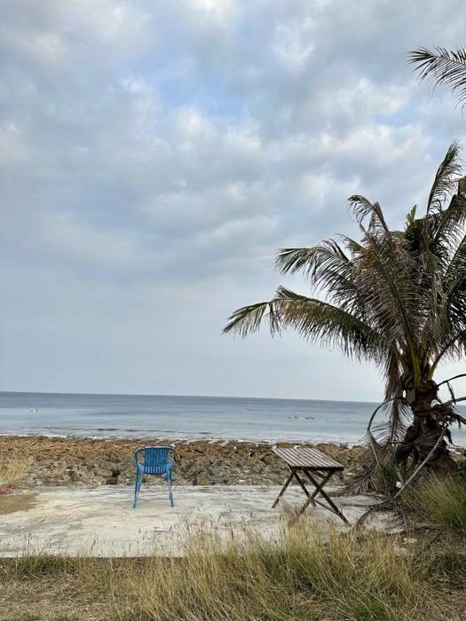 Edited version of blue chair and table under coconut palm