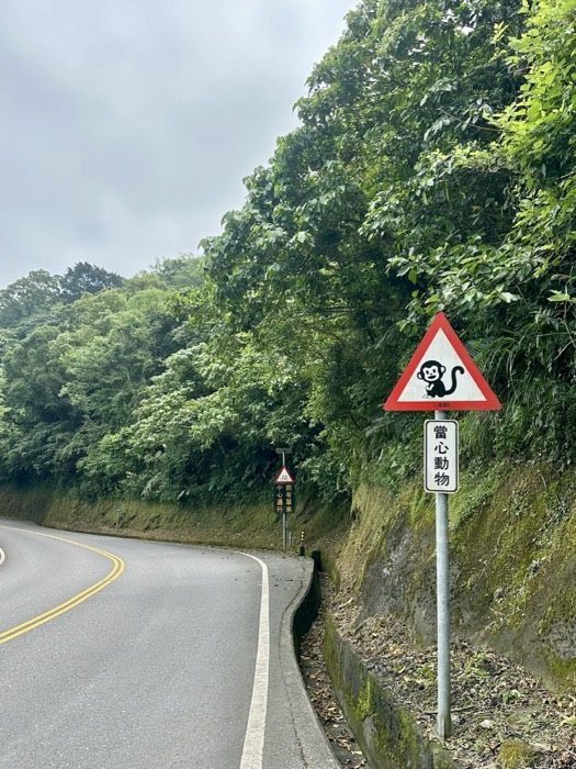 Edited Taiwan monkey-crossing warning sign on forested mountain road