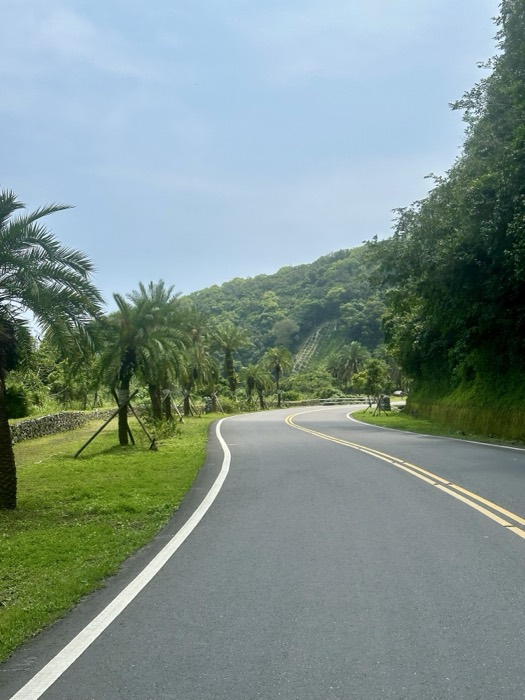 Edited curving coastal road past palm trees, green hills, Taiwan